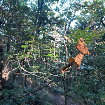 鳥さんのオブジェにみえたやつ🐦