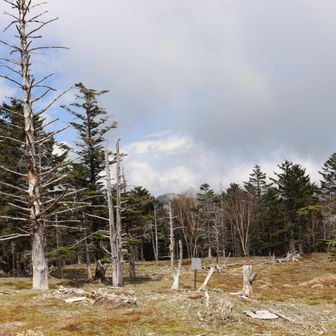 山伏山頂の風景
中央奥に16日に登った大谷嶺が見えている