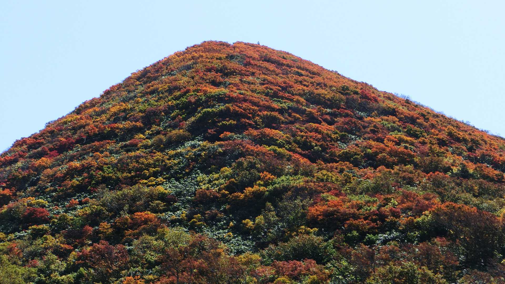 秣岳の上の方をズーム
かなりオレンジ色になってますね！登ってる登山者も見えました