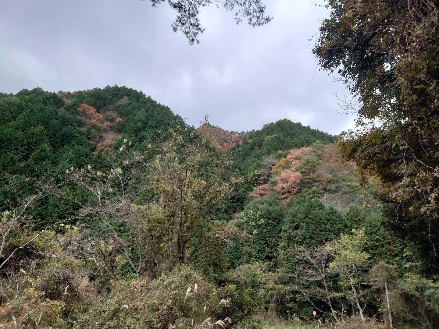 矢筈山・女体山登山口-女体山 (長尾）-矢筈山登山口-矢筈 周回コースの写真