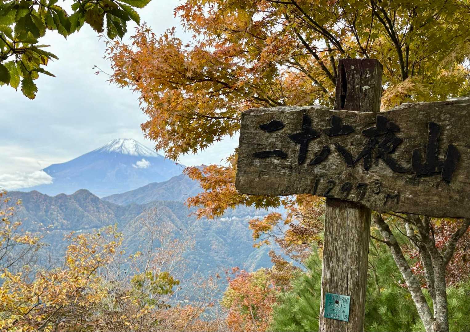 きましたよ〜､道志二十六夜山！