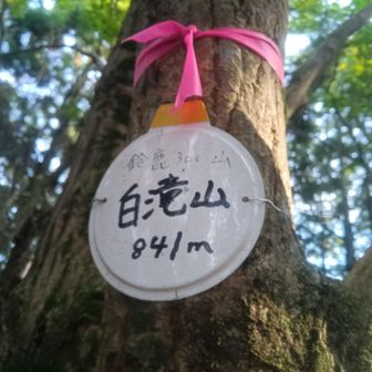 この辺りは道がザレているのとアップダウンがきついので
白滝山までの間に１箇所
下だれそうな所があったから
そこを使えば良かったと少し後悔😅