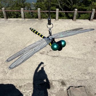 新調したスーパーおにやんま君
羽がキラキラしてます
おかげで🪰が来ても付きまとわれませんでした。
効果あり？😄