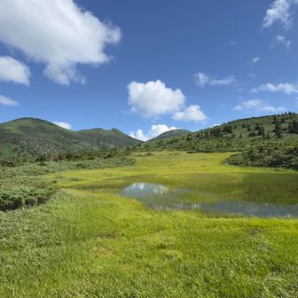 多くはない観光客がやたら熊は居るかと聞いてくる
6頭いたよとジナン笑笑