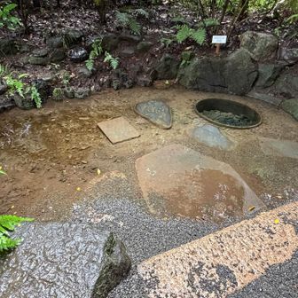 清正井(きよまさのいど)
清水が湧き出しています💧
加藤清正が掘った井戸のようです🧐