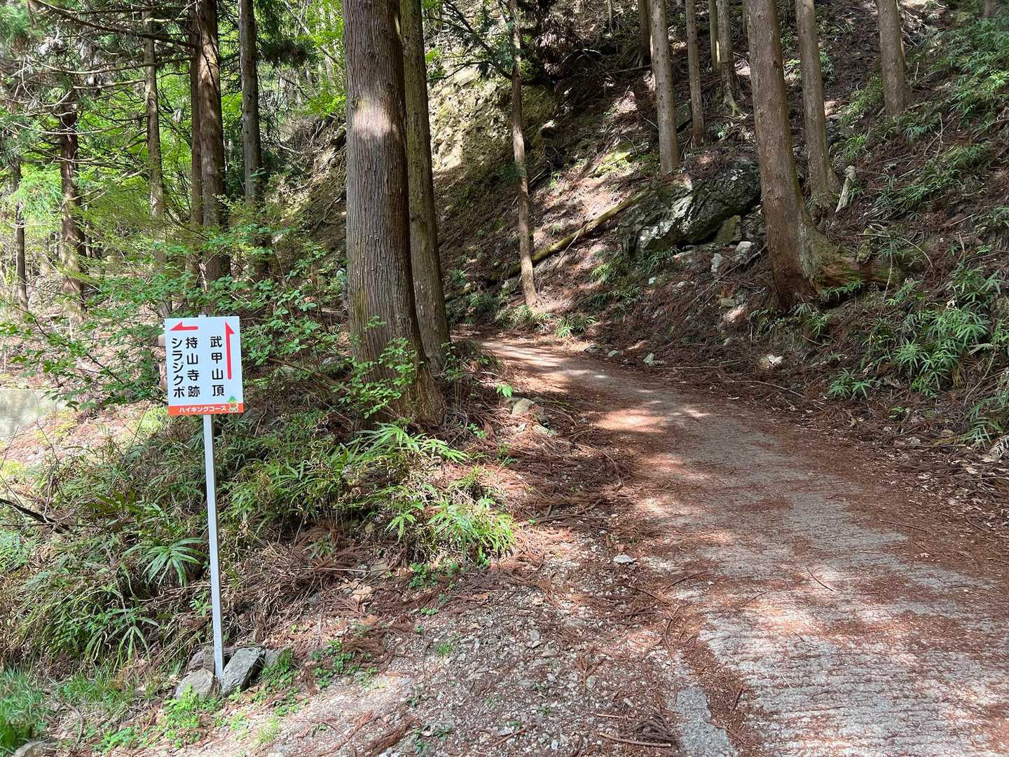 一ノ鳥居-武甲山-子持山-大持山-妻坂峠 周回コースの写真