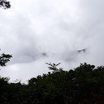 景色