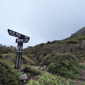 稲星越分岐
登って下りての繰り返し🚶‍♀️