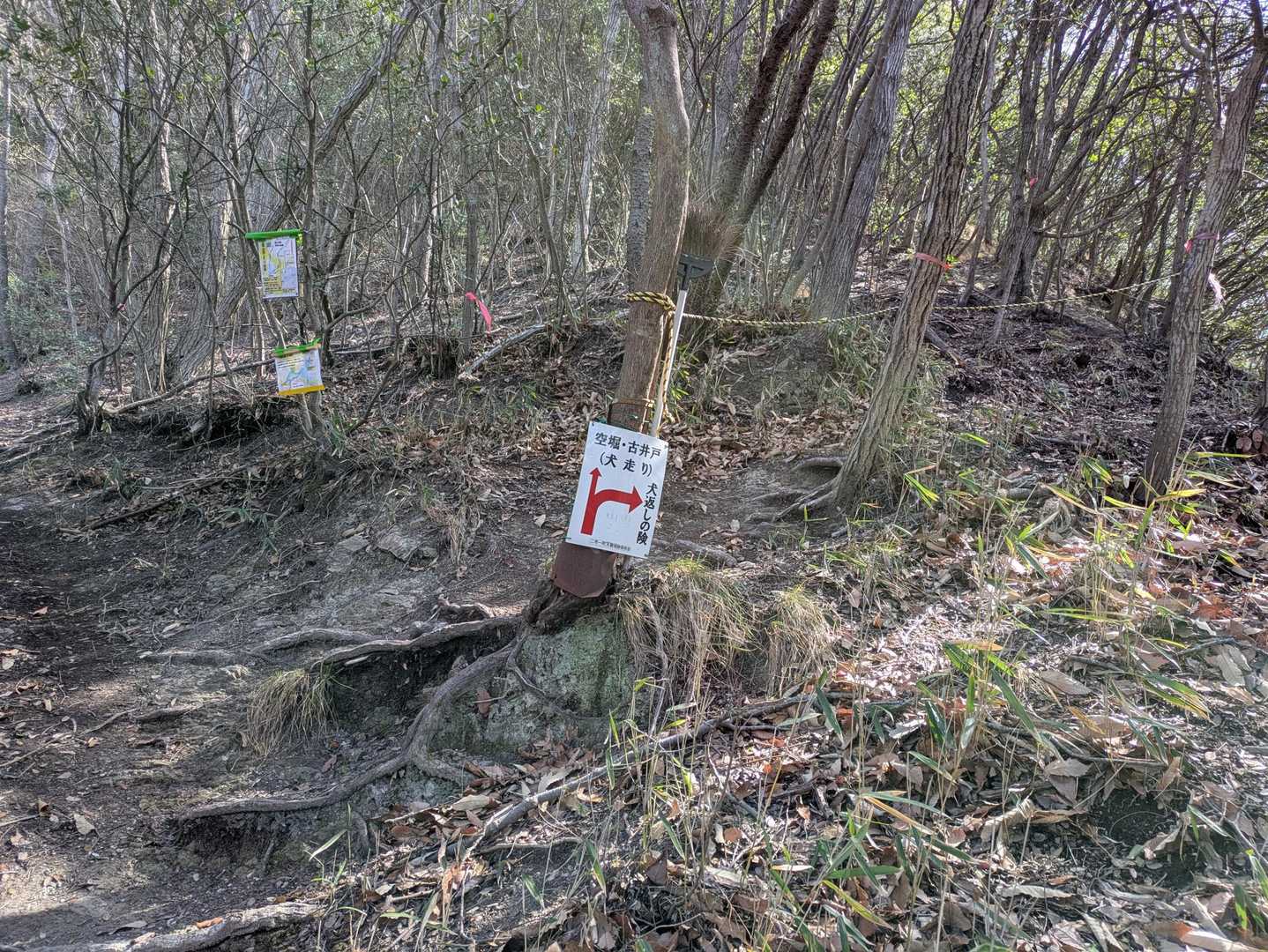 この分岐を犬返しの険の方へ