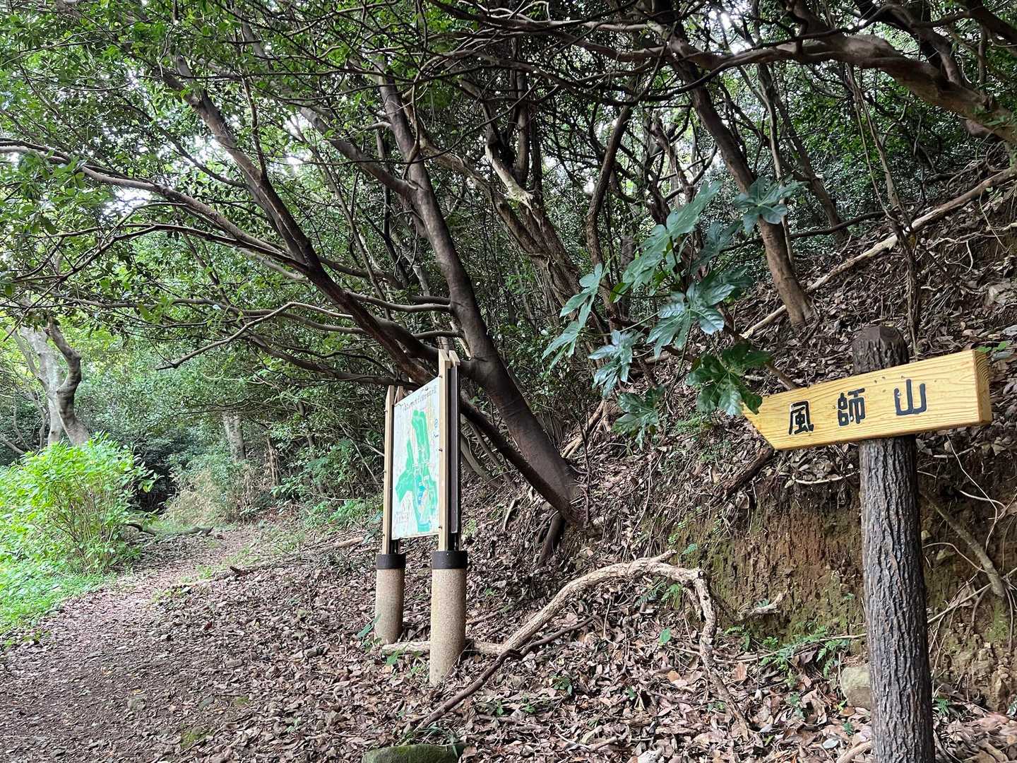 登山口⬆️