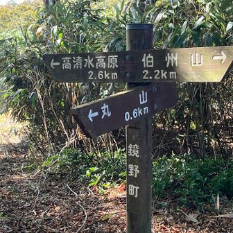 丸山別れ　
一昨年、伯州山からここまで来て丸山経由で下山している
きようはここまでとし、往路を引き返す