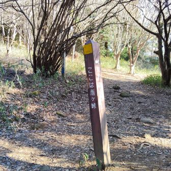 雨が峠　東お多福山への分岐点