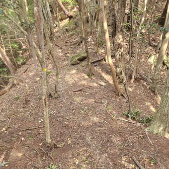 東峰トラバースルートのコルから本峰へ直登ルートを進みます。