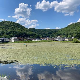 暑い暑いロードを歩いて遠回りして次の取り付きへ🥵

深泥池

ほんとは向こうに見えるお山まで行くプランだったけど…😭