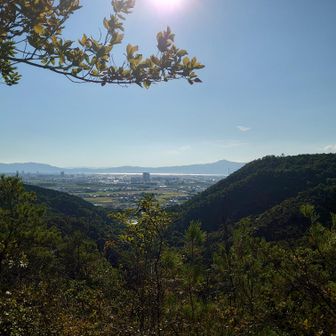 西日☀で琵琶湖✨