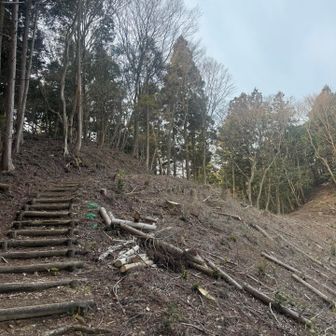 アップダウンが続きます