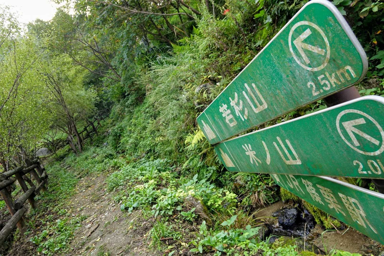 若杉山登山口 往復コースの写真