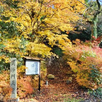 紅葉はまだぎりぎり見られます🍁