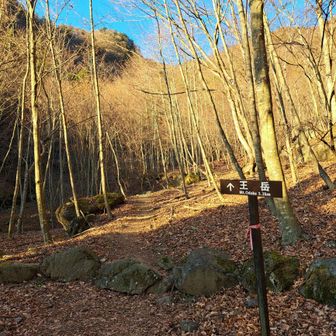 30分くらいでようやく王岳登山口