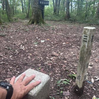 💤うとうとお昼寝もして山歩再開💪
“茶臼山“登頂🙌