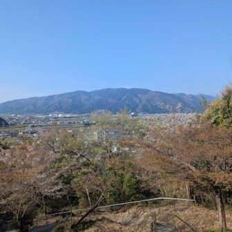からの池田山⛰️👀