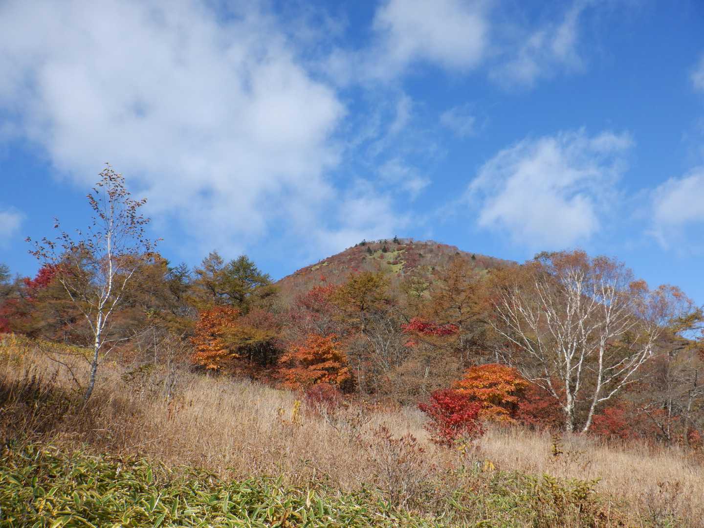 霧降高原レストハウス-赤薙山-丸山 周回コースの写真