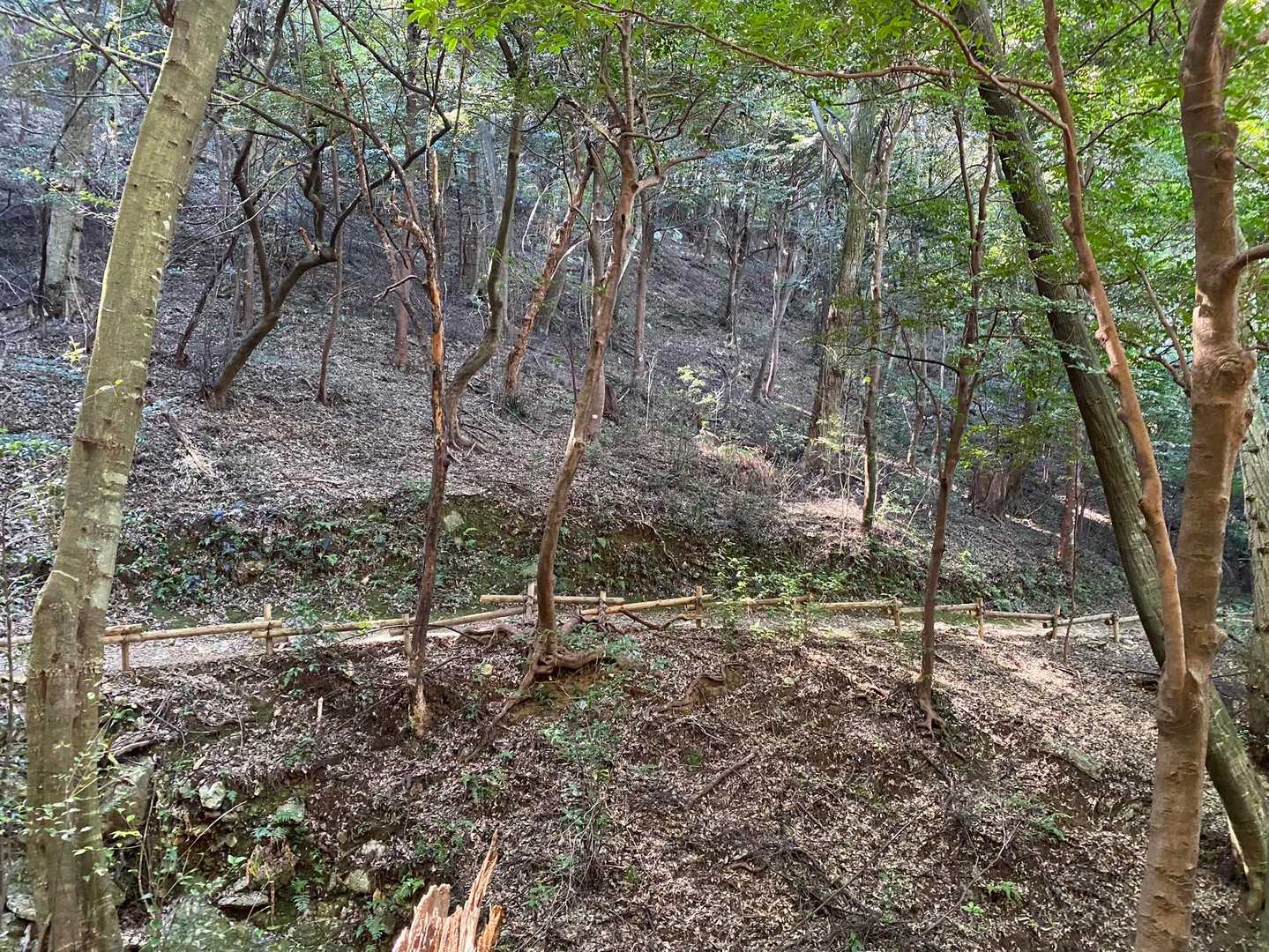 沢山癒されてからの〜
登山頑張りましょう三/ ˙꒳​˙)/