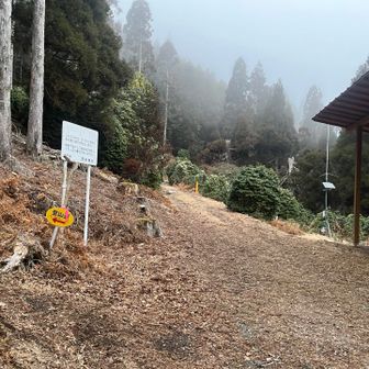 森林管理小屋からまた登る