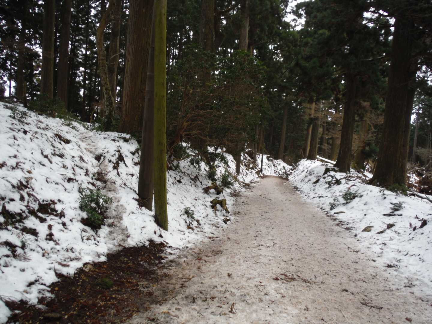 微妙に滑る表参道を下り、黒門下から参道を離れ左の山道へ