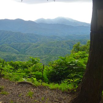 山頂から粟ヶ岳