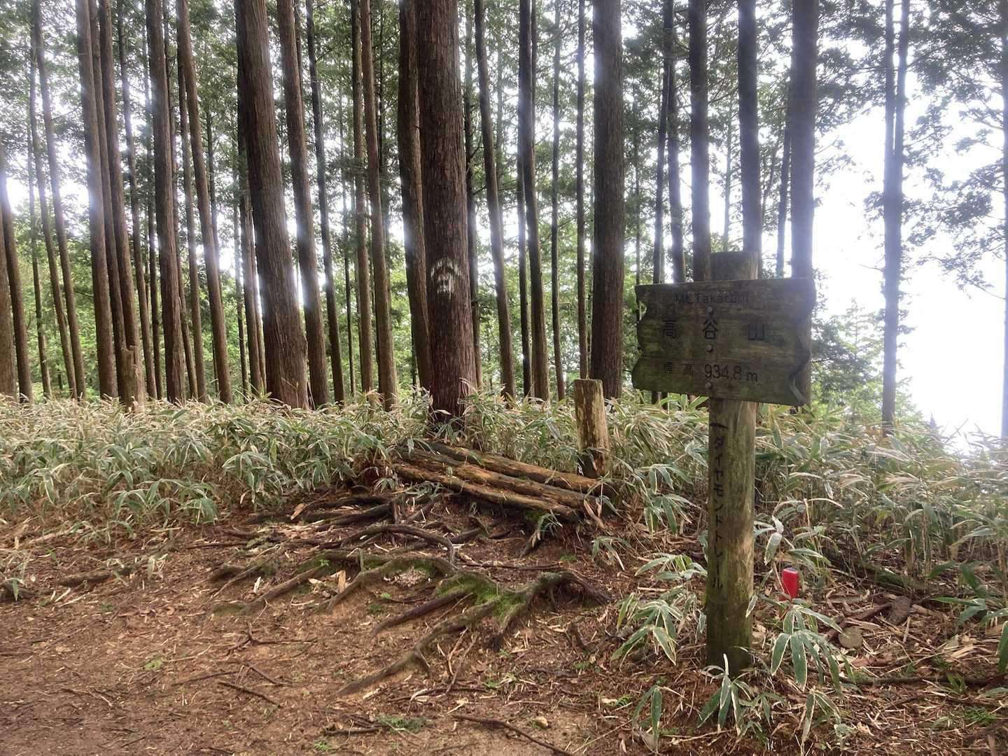 高谷山頂上です。みなさんほとんど通過されます。