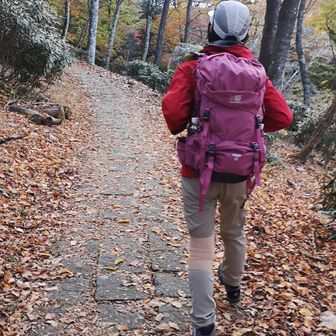 たま（旧ふみ）