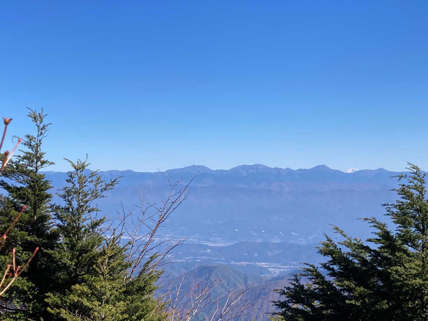 神坂峠登山口-千両山-鳥越峠-大判山-恵那山 往復コースの写真