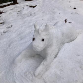 小文殊の白馬、毎日Cちゃんが手直しに。