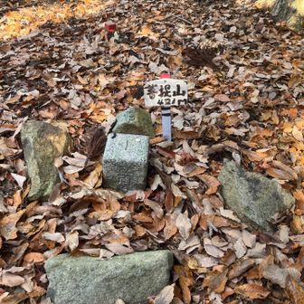 10分ほど登るとあっと言う間に菩提山山頂