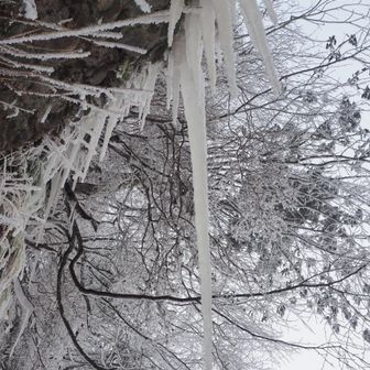 頭上も危険がいっぱい💦

そんな大きな氷柱に見えないですが、一番大きな氷柱で全長1m以上あります