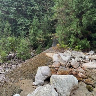 最初だけ渡渉ありました