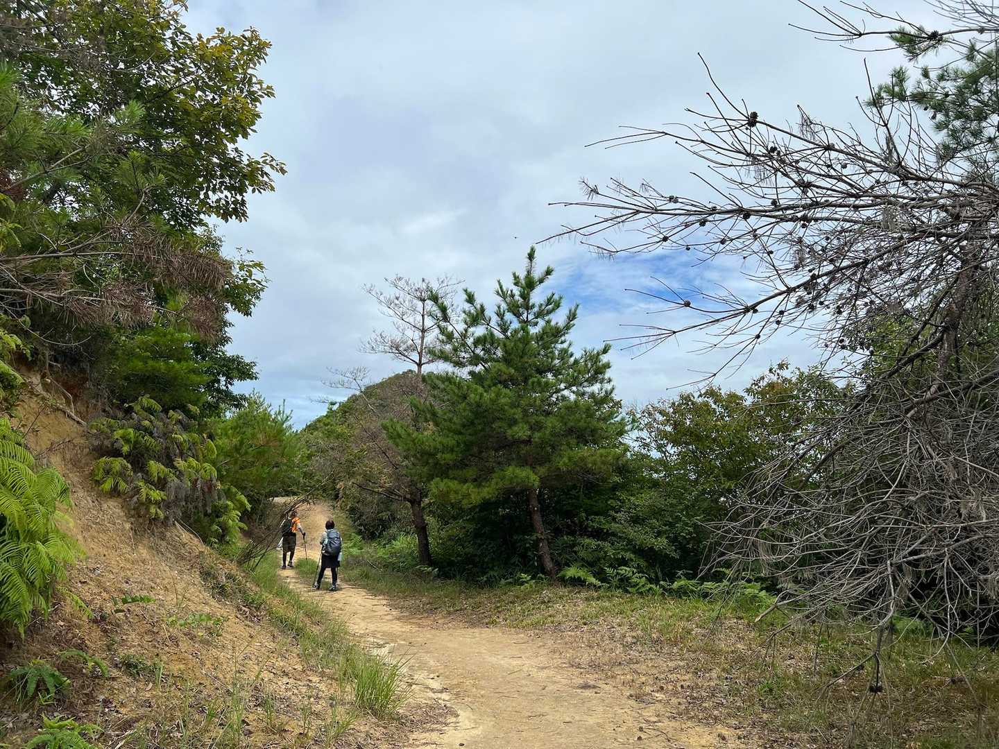 スタート時は霧雨、その後本降り☔️→その後晴れ間🌤️さすがに☀️でると蒸し暑🥵