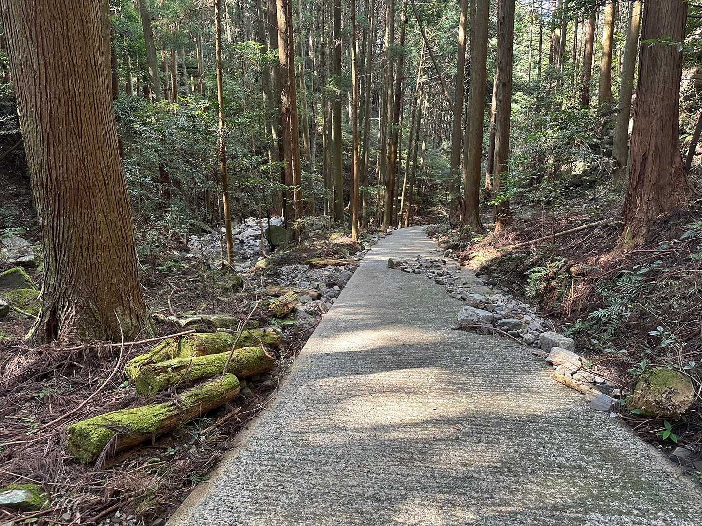 風頭山 往復コースの写真