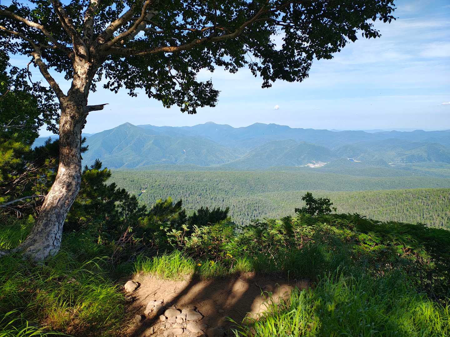 赤岳・白雲岳往復 | 夏の「ゼブラ雪渓」と高山植物の楽園を目指しての写真
