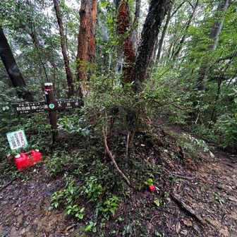 縦走路から寄り道して…