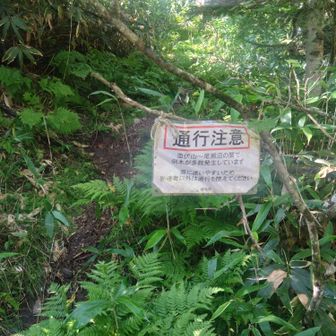 行ってみるかー、の軽い気持ちで本当に大変だった