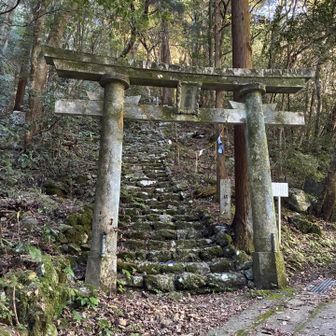 この石段を登ります