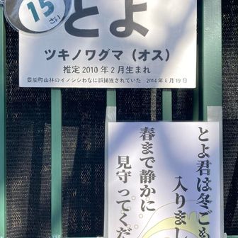 のりみさんレポで知った とよくん
冬眠中
お腹がいっぱいなら こんな気候でも冬眠するんだな🙂‍↕️