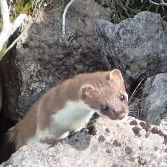 北見勤労者山岳会（北見労山）