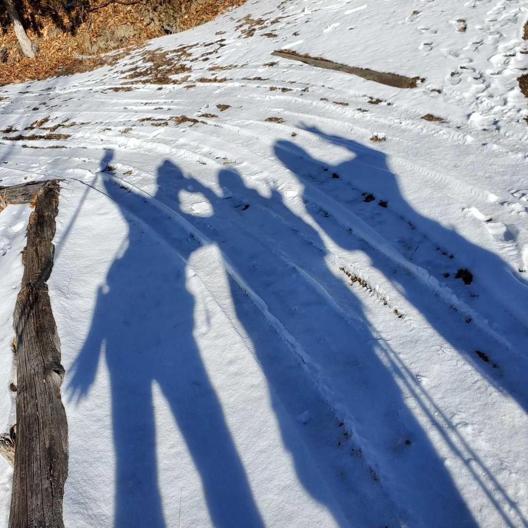 ゆかいな仲間たち、本日は3人で🤭