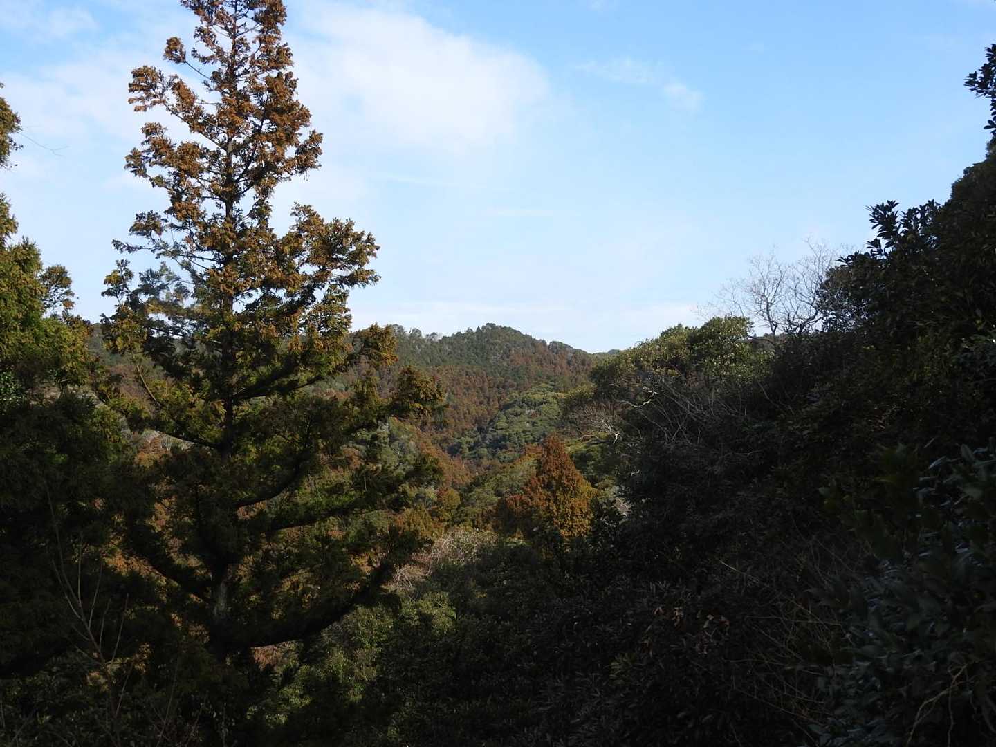烏場山の山頂が見えました🎶
