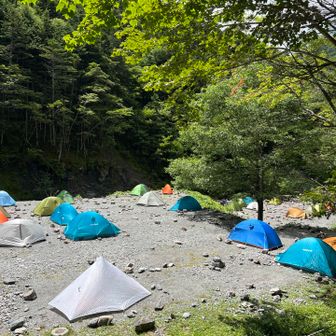 無事帰ってきました。
