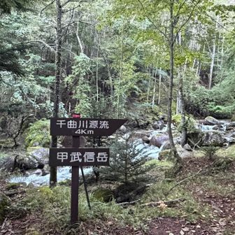 登りは、ずっと左側に千曲川が流れていて、せせらぎが心地良いです。
涼しい音色☺️