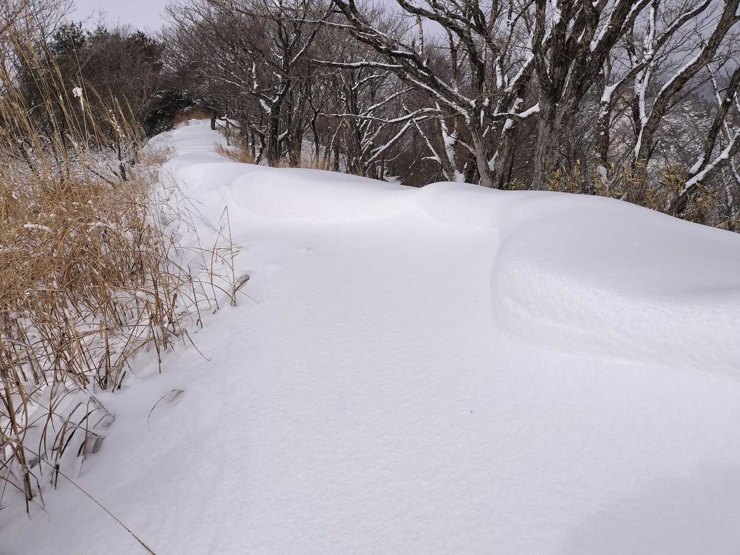 小さいですが雪庇。